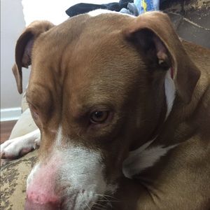 Meet your Posher, Aida